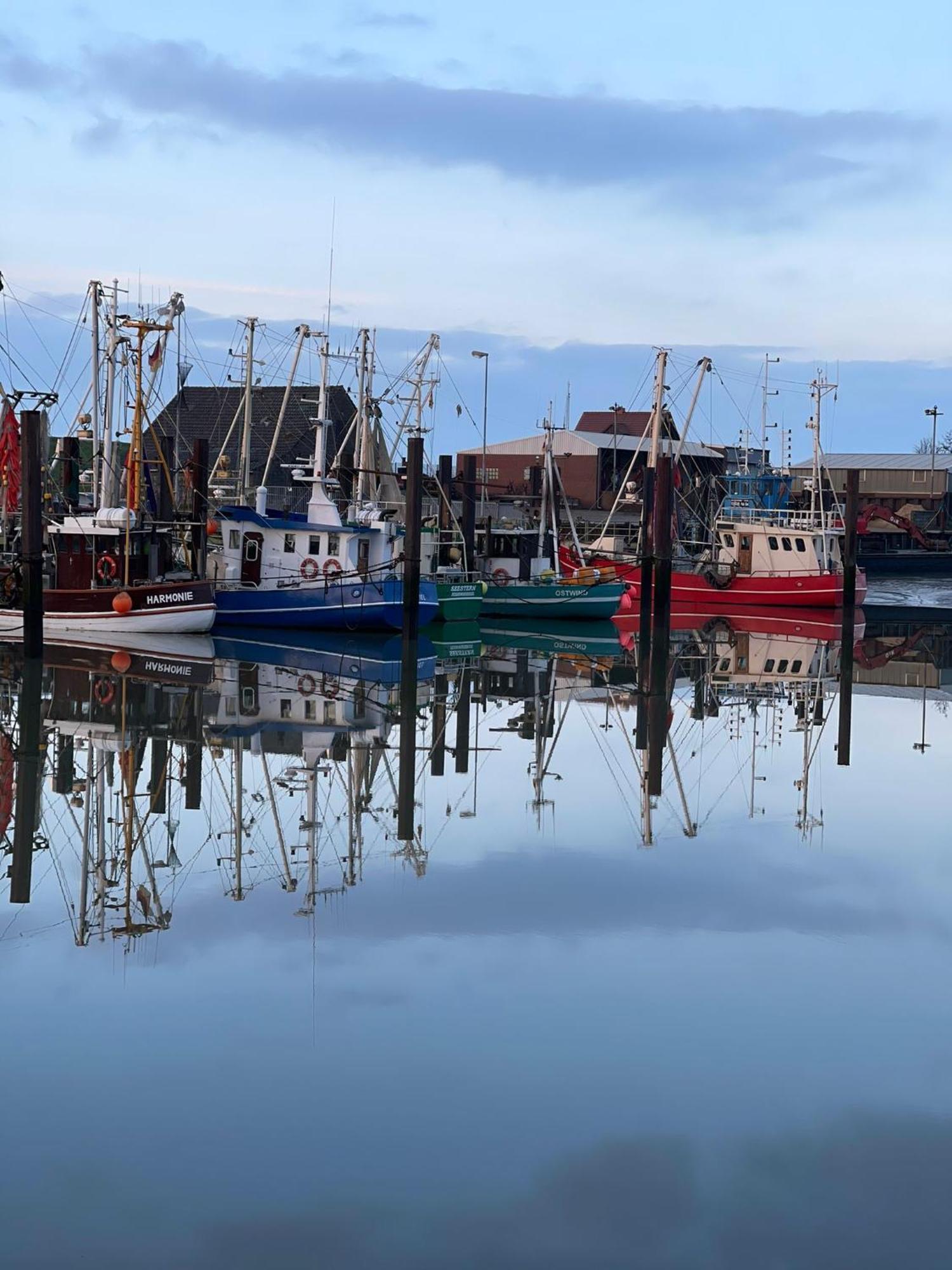 Ferienwohnung Hein Am Nordseedeich Butjadingen Extérieur photo